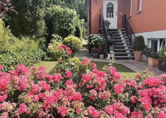 Bad Doberan Apartment | Ferienwohnung Am Hasenberg