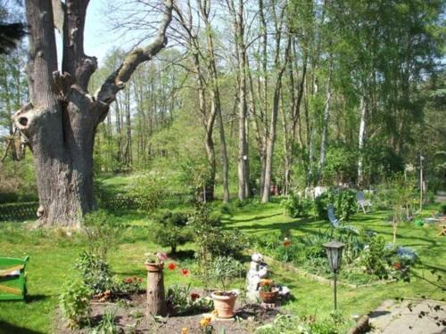 Muhl Rosin Apartment | Ferienwohnung Am Mühlbach