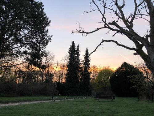 Horchheim Apartment | Ferienwohnung Apartment Doppelzimmer in der Villa Naturpark Rheinblick, ruhig, Aussicht, Pool