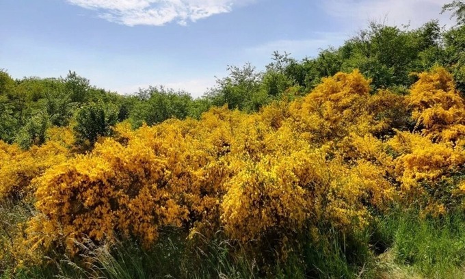 Mariendorf Apartment | Ferienwohnung/app. für 2 Gäste mit 30m² in Alt Reddevitz