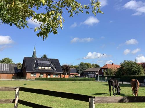 Borger Apartment | Ferienwohnung Hümmling