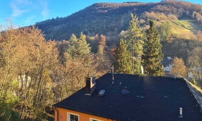 Traben-Trarbach Apartment | Ferienwohnung in Herrlicher Lage Nähe Moseltherme Traben-trarbach an der Mosel