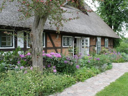 Reddelich Apartment | Ferienwohnung in Reddelich for 4 Personen