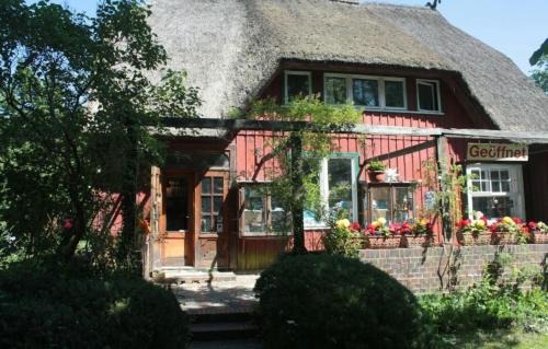 Ostseebad Prerow Apartment | Ferienwohnung "Nordstrand"