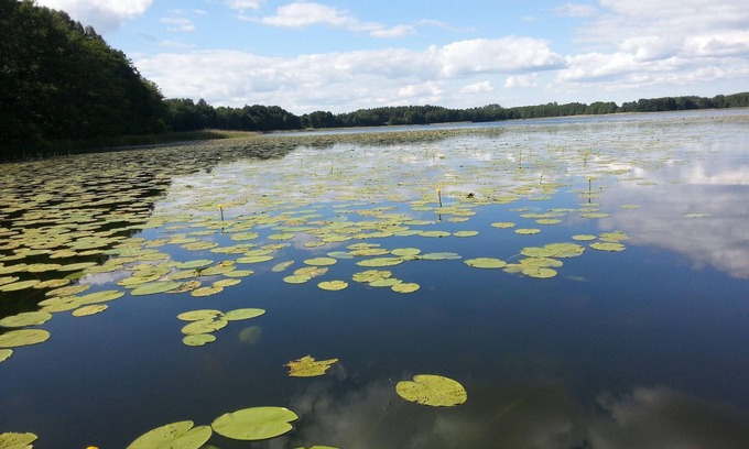 Muritz Apartment | Ferienwohnung Seebusch