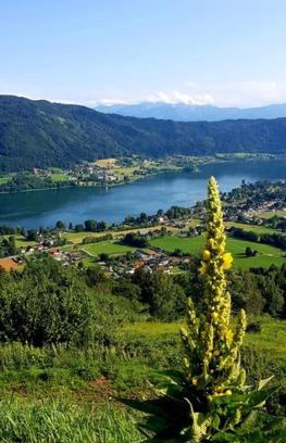 Altossiach Apartment | Ferienwohnungen Claudia