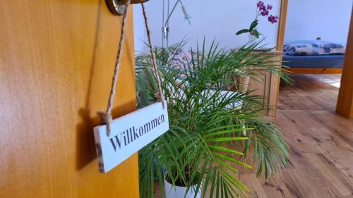 Bernkastel-Kues Apartment | FEWO Mein Panama