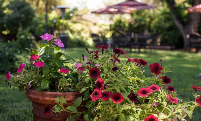 Carlsbad Bed & Breakfast | Fiddler's Inn