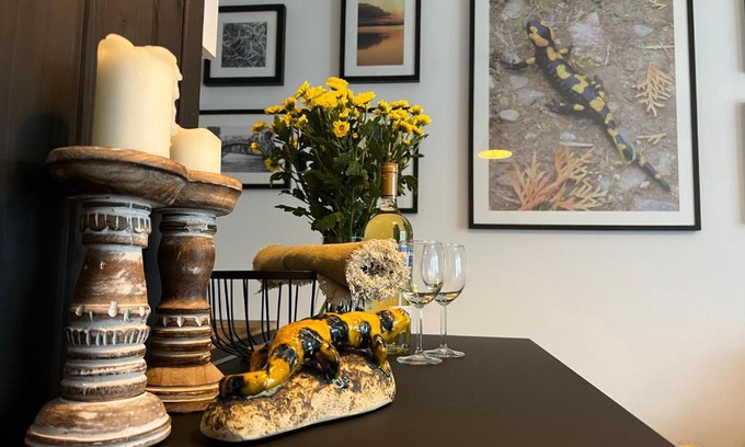 Ustrzyki Dolne Apartment | FireSalamander Apartament z prywatną sauną - wyjątkowy i romantyczny, idealny na specjalne okazje