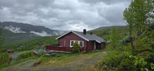 Tyinkrysset House | Fjellheimens Svanebu