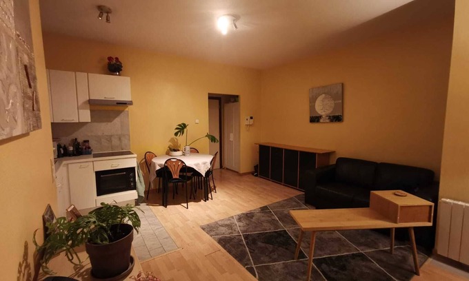 Wijk van de Squares Apartment | Flat to let Brussels center near metro Schuman