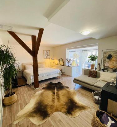 Michle Apartment | Flat with heart and art nearby centre of the Prague