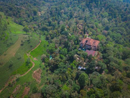 Kunnathidavaka Resort | Flora Vythiri Resort Wayanad
