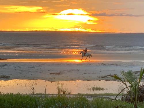 Maracana House | FlowMove Retreat Algodoal