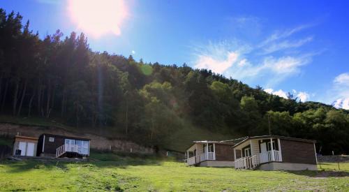 Stepantsminda Cabin | Forest Cabins