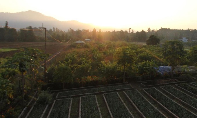 Bail Parao House | Forest Side Farm - Homestay at Kotabagh Near Nainital and Jim Corbett