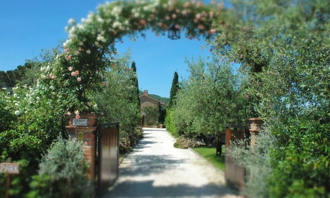 Paciano Other | Frantoio home with pool and Jacuzzi in the Fontanaro estate