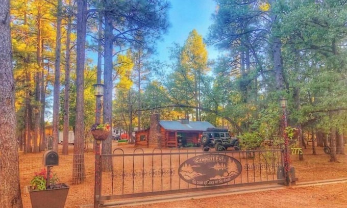 Pinetop-Lakeside Cabin | Fully fenced yard, dogs welcome!
