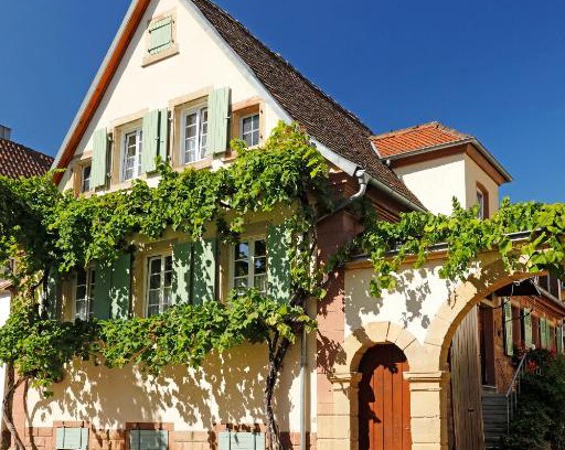 Rhodt unter Rietburg House | Gästehaus Zum Weinbauer