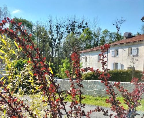 Courcoury Apartment | Gîte 2 personnes