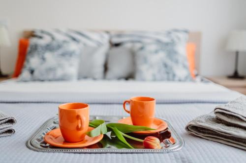 City Centre Apartment | Garden Apartment