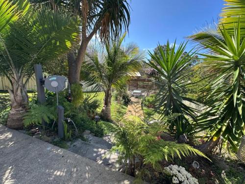 Catalina House | Garden View Homestay Single Ensuite Room