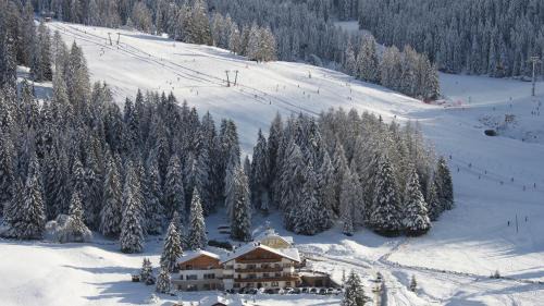 Selva di Val Gardena Hotel | Garni Hotel Rosengarten B&B