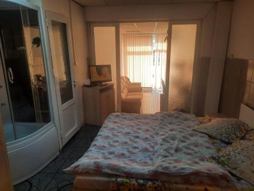 Alba Iulia Apartment | Garsoniera Del Dodo