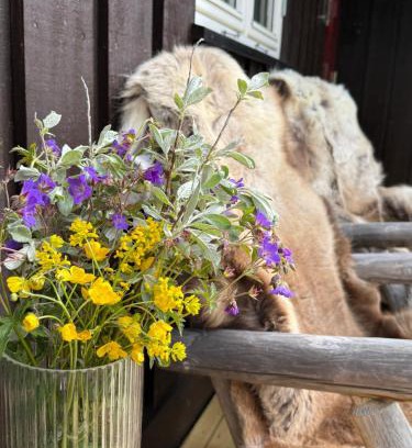 Atra House | Gausta Lodge med elbillader, nærhet til Gaustatoppen Ski in ski out
