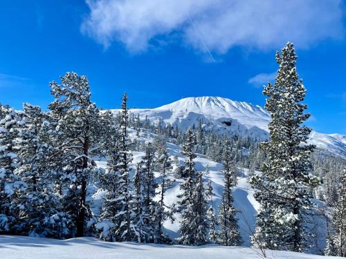 Atra Apartment | Gausta View