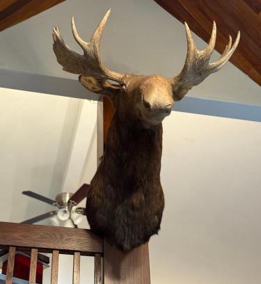 Bala Bed & Breakfast | Getaway To Muskoka