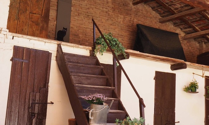 Forli Bed & Breakfast | Giardino 34