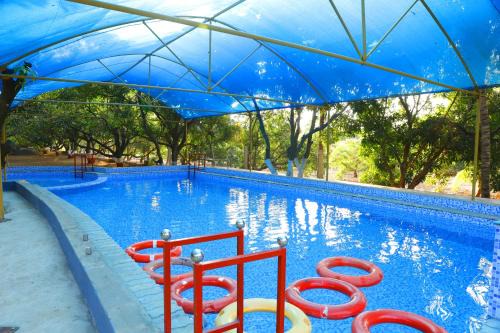 Gir National Park Resort | Gir Gandi - A Riverside Resort