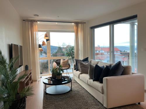 Asane Apartment | Glaskaråsen