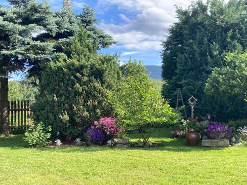 Czerniawa-Zdroj Apartment | Gościniec Pod Bukiem