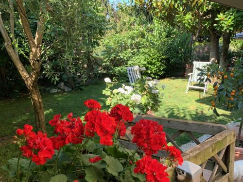 Ravenna Apartment | Golden Ravenna- large appartment in center