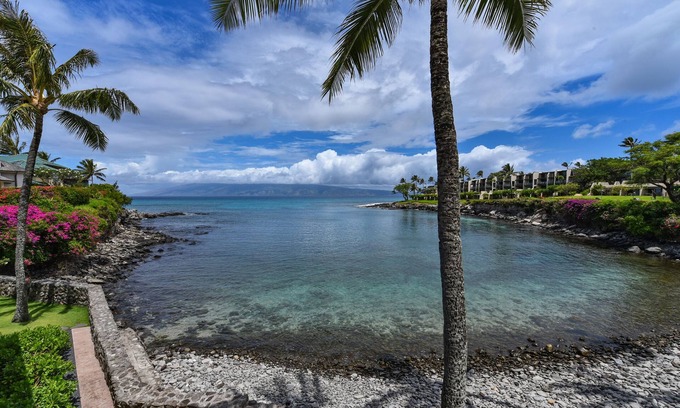 Napili Condo | Gorgeous condo #203 View of Honokeana Cove