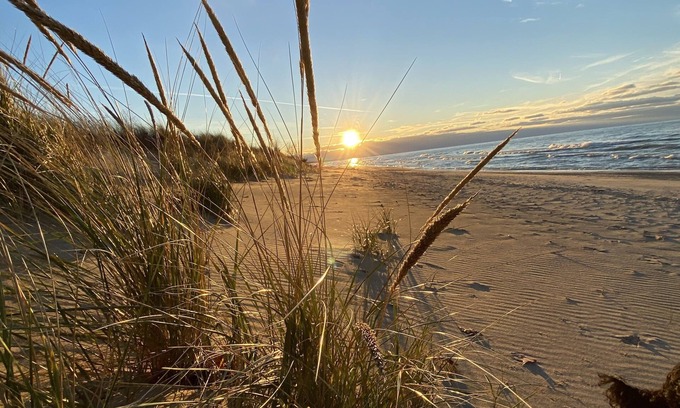Grand Bend Cottage | Grand Bend-Pinery Park- Bike or hike to the beach & river ( families/couples)