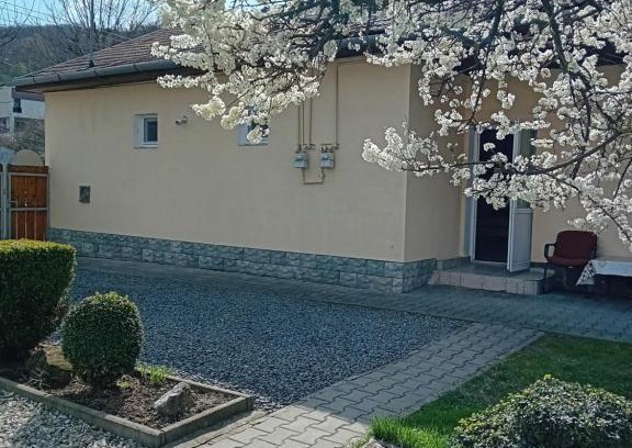 Medias House | Grande