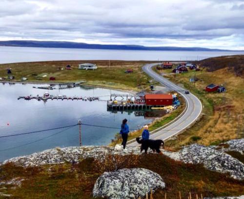 Nesseby Apartment | Grasbakken Panorama
