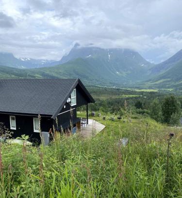 Orsta House | Great cabin in beautiful nature