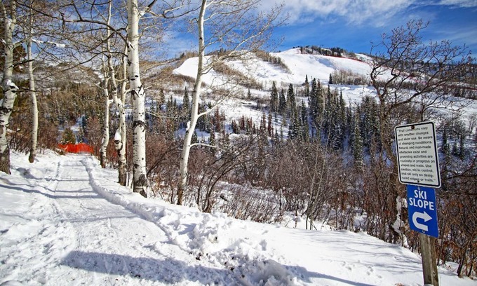Steamboat Springs Condo | Great location - Ski In Ski Out, Ski Shuttle, Heated Pool, Hot Tub, Sauna