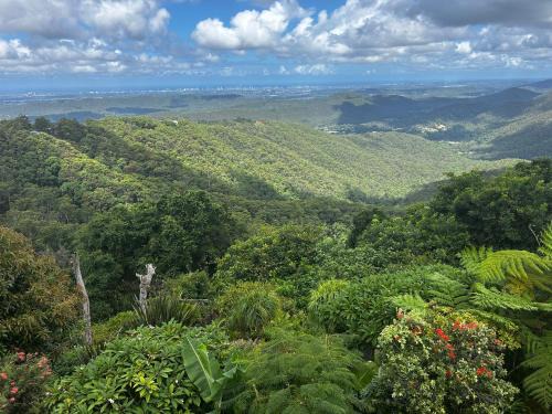 Mount Tamborine House | Green Cauldron, Homestay, Tamborine Mountain, Private Room, Ensuite, Private Courtyard, Gold Coast Views