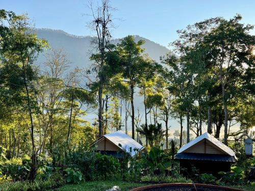 Candikuning Other | Green Lava Lake View Glamping Bedugul By IHM
