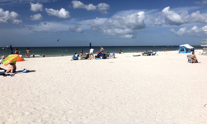 Redington Shores Cottage | Green Turtle East - STEPS from the BEACH