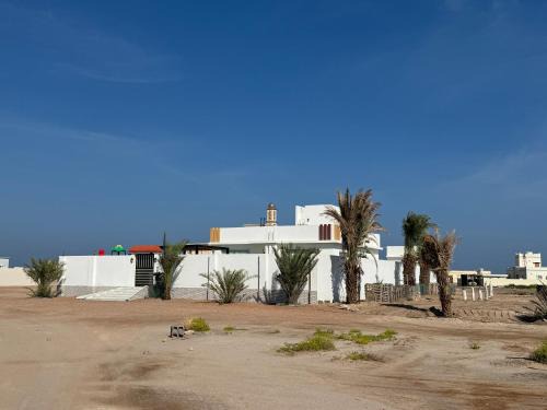 Al Hadd Bed & Breakfast | GUEST HOUSEs OYSTERS