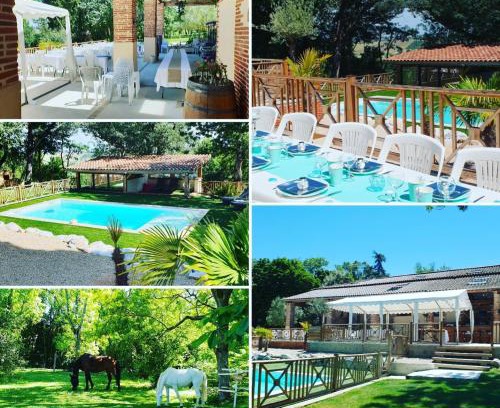 Sainte-Foy-d'Aigrefeuille House | Guesthouse Le Pujol