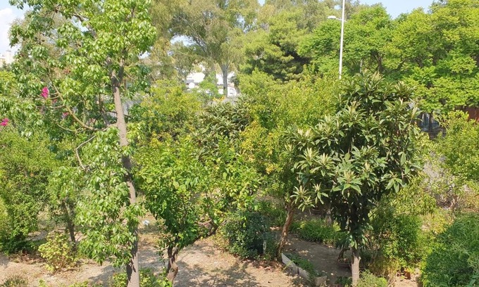 Province of Cagliari House | Guesthouse Luisella