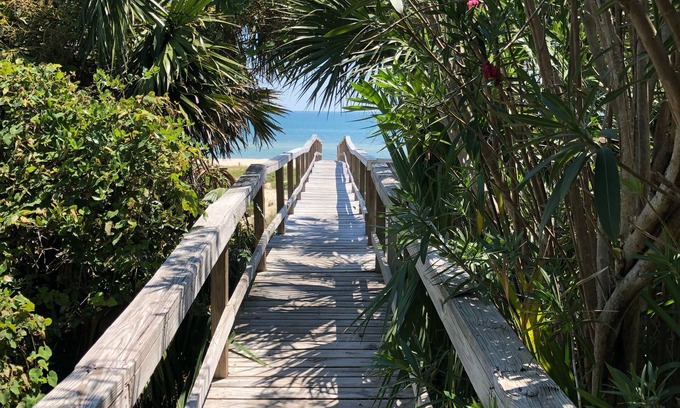 Sea Palm Village House | Gulf Views. Steps to beach and pool. Pets ok. Beautiful, lush property.