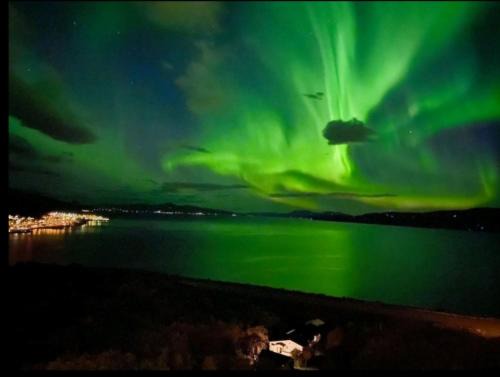 Narvik Apartment | Høy standard. Mye for pengene. Gratis velkomstgave